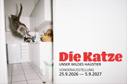 «Die Katze. Unser wildes Haustier»