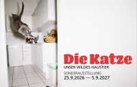 Neue Sonderausstellung ab 25. September 2026 «Die Katze. Unser wildes Haustier»