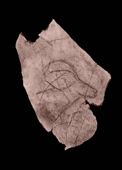 15 000 Jahre alt. Ritzzeichnung eines Steinbockkopfes 