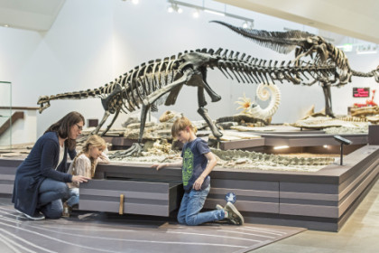 Skelett eines Plateosaurus mit Entdeckerschublade davor