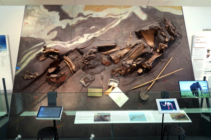 Mammutskelett von 2003 in Fundlage
