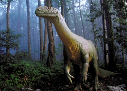 Plateosaure (Plateosaurus engelhardti) Ech. 1/1