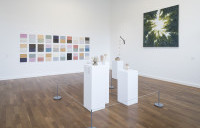 ERNTE 26. Jahresausstellung der Schaffhauser Kunstschaffenden