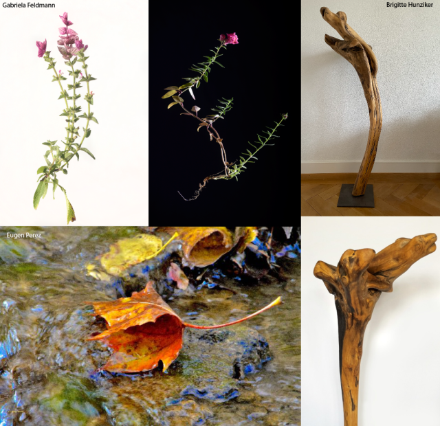 Gruppenausstellung «Fotografie und Skulptur im Dialog» von Gabriela Feldmann, Brigitte Hunziker und Eugen Perez