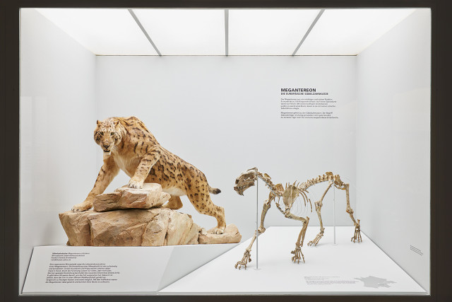 Mammut & Säbelzahntiger. Evolution des Menschen – In einem Land vor unserer Zeit