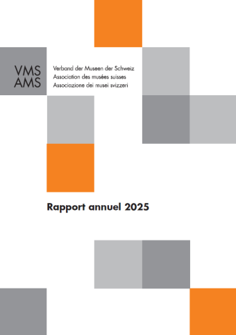 Rapport annuel AMS 2025