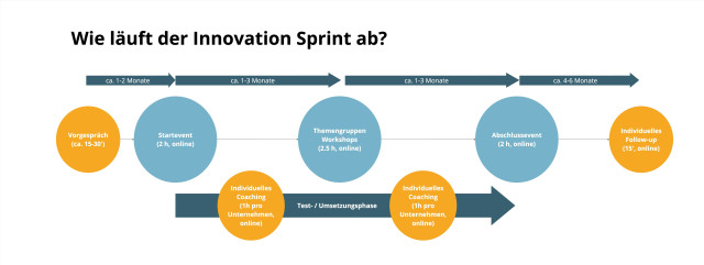 Prozess «Innovation Sprint»